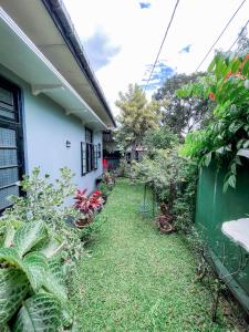a garden next to a house with plants at Serenity Home Stay in Kandy