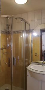La Celle-sous-GouzonにあるLe gîte le bastillaumeのシャワーと洗面台付きのバスルーム