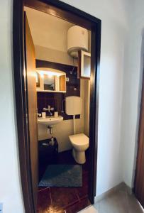 a small bathroom with a toilet and a sink at Apartman Nela in Betina