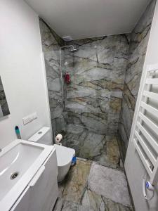 a bathroom with a shower and a toilet and a sink at Palanga Studio Apartment with a Pool in Palanga +24 photos