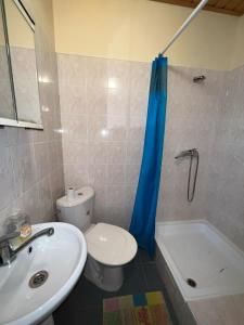 a bathroom with a sink and a toilet and a tub at Car-es panzió in Veľký Meder