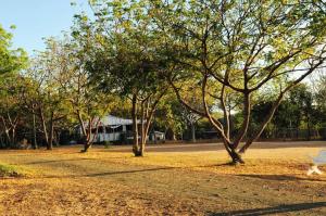 Um jardim no exterior de Rustic cabin in the heart of the fields of Pitahaya