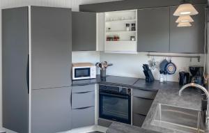 a kitchen with gray cabinets and a microwave at Gorgeous Home In Sjølund With Sauna in Sjølund