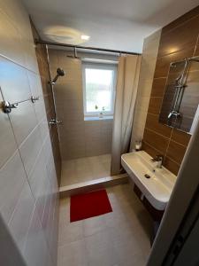 Vannituba majutusasutuses Apartmány Polepy