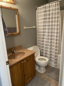 ファーニーにある541 Fernie B.C. SKI BIKE FISH Cozy Condo w Queen and Kitchenのトイレ、洗面台、シャワー付きのバスルーム