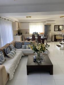 Η κουζίνα ή μικρή κουζίνα στο Sunny Garden Villa Koskinou