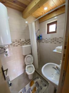 a small bathroom with a toilet and a sink at Bungalows Ivan in Žabljak