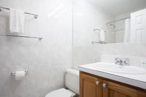 a bathroom with a sink and a toilet and a mirror at Airy 1BR Walkable to Everywhere in Boston in Boston