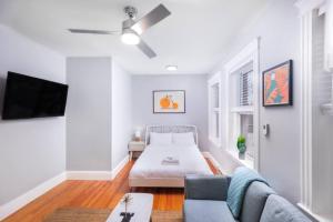 a living room with a bed and a couch at Cozy Central Fenway Studio in Boston