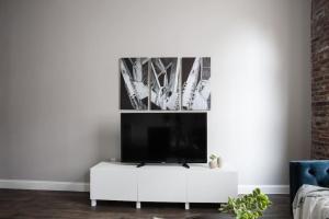 ボストンにある4 bed Loft Steps to Boston Common Beacon Hillのリビングルーム(白いキャビネットの上にテレビ付)