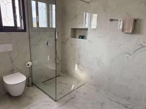 a bathroom with a shower and a toilet at Vila Bilali in Ksamil +39 photos