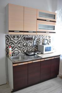 Kuchyň nebo kuchyňský kout v ubytování Apartman Ládi