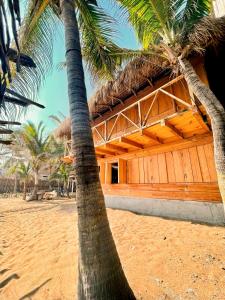 Fotografie z fotogalerie ubytování Ballelita v destinaci Zipolite