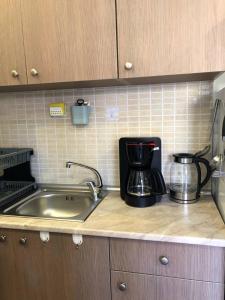 Una encimera de cocina con un fregadero y una cafetera. en Dina Studio Apartments, en Pefkohori