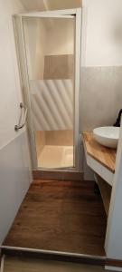 トレガステルにあるBeau T2 Trégastel avec jardin, proche plages et commercesのシャワーと洗面台付きのバスルーム +10枚の写真