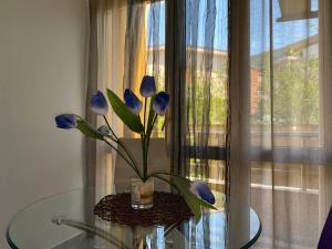 Fotografie z fotogalerie ubytování Apart hotel St.Pijerre v destinaci Stari Bar