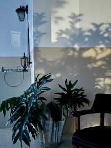 Foto sihtkohas Mesa Colorada asuva majutusasutuse Hotel JADE galeriist