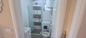 a bathroom with a washing machine and a toilet at Kuca za odmor Toma in Ljubuški +31 photos