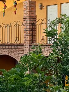 Aed väljaspool majutusasutust Hotel JADE