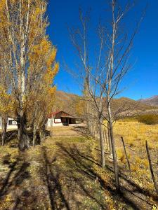 a group of trees in a field with a barn at ShangriLa in Uspallata +27 photos