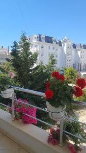 a balcony with flowers in pots on a railing at Flower Apartment Golem in Golem