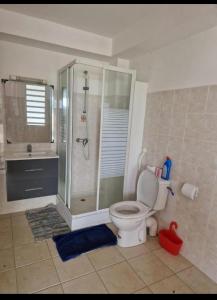 Koupelna v ubytování Ti'Eva appartement F3 avec piscine partagée
