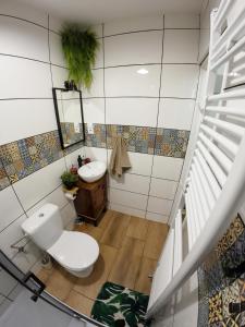 a bathroom with a toilet and a sink at Stacja Srebrna Góra in Srebrna Góra +35 photos