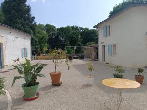 Κήπος έξω από το Moulin de Montizeau