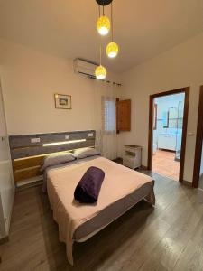 ein Schlafzimmer mit einem großen Bett in einem Zimmer in der Unterkunft Villa Can Ripoll in Ibiza-Stadt