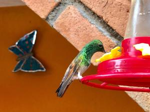 Foto sihtkohas Mesa Colorada asuva majutusasutuse Hotel JADE galeriist