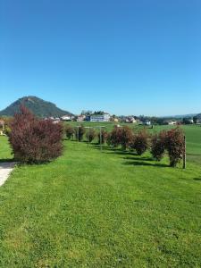 Paisaje cerca de este apartahotel