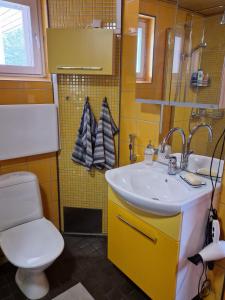a bathroom with a sink and a toilet at Villa Korpikallio in Naantali