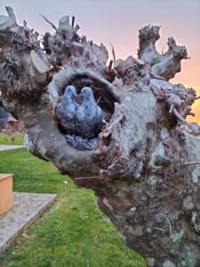 Jardín al aire libre en Apartamentos Rurales Sobremazas