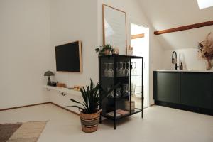 Μια τηλεόραση ή/και κέντρο ψυχαγωγίας στο Urban Loft - Appartment in ehemaliger Fabrik zentral in Landau