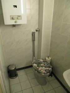 ein kleines Bad mit WC in einer Kabine in der Unterkunft Kleine Wohlfühloase 2.0 in Heidelberg