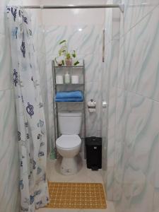 a small bathroom with a toilet and a shower at Weigel's Beach House in Asturias