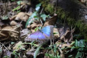 Fotografie z fotogalerie ubytování Campana Lodge n' Trails v destinaci San Ramón