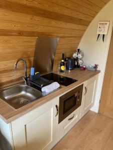 a kitchen counter with a sink and a microwave at Mynd View Pods Cedar in Craven Arms