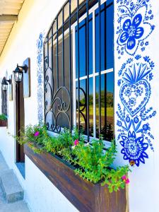 Κήπος έξω από το Tres Cielos Cabañas