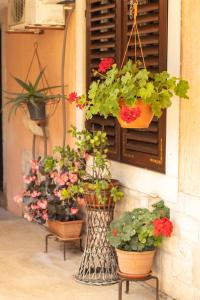 Φωτογραφία από το άλμπουμ του Apartment Trsina σε Rakalj