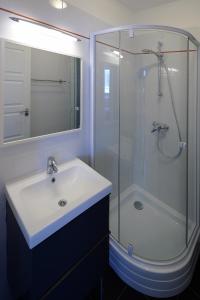 uma casa de banho com um lavatório e uma cabina de duche em vidro. em Premium Buda Castle Apartment em Budapeste