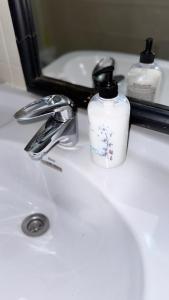 a bathroom sink with a bottle of soap and a mirror at Entire apartment centro ponferrada in Ponferrada