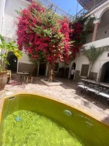 Bazén v ubytování Private house Riad Arlette exclusive nebo v jeho okolí