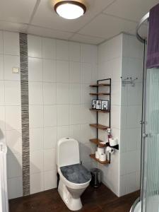 Ένα μπάνιο στο Cozy 3-room Penthouse in the very Heart of Tallinn