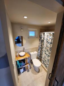 a bathroom with a toilet and a sink at Cabaña monoambiente en Bariloche 3 pax in San Carlos de Bariloche +32 photos