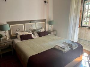 ein Schlafzimmer mit einem großen Bett mit zwei Nachttischen in der Unterkunft Casa dos Limões - Paredes de Coura in Formariz + 23 Fotos