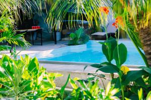 a swimming pool in a yard with plants at Ananas Guesthouse in Moalboal