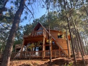 Eine Hütte im Wald mit großer Terrasse in der Unterkunft Nido de Madera in San Mateo Río Hondo