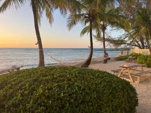 a hammock hanging between two palm trees on the beach at Sunset Cove - Vacation In Paradise! in Nassau