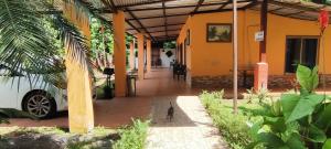 Zahrada ubytování Hotel Maguey